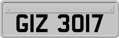 GIZ3017