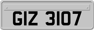 GIZ3107