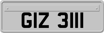 GIZ3111