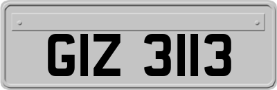GIZ3113