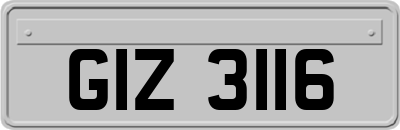 GIZ3116