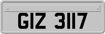 GIZ3117