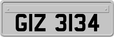 GIZ3134