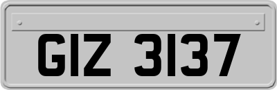 GIZ3137