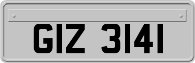 GIZ3141