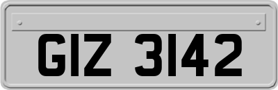 GIZ3142