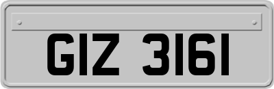GIZ3161