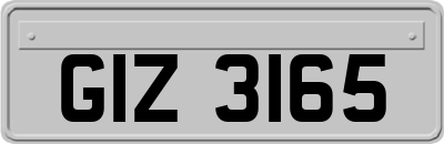 GIZ3165