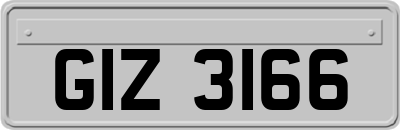GIZ3166