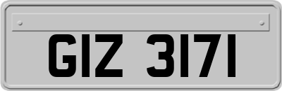 GIZ3171