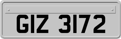 GIZ3172