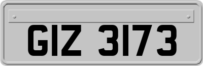 GIZ3173
