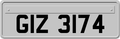 GIZ3174
