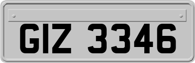 GIZ3346