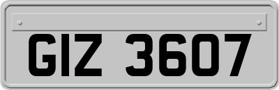 GIZ3607