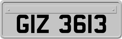 GIZ3613