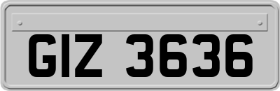 GIZ3636