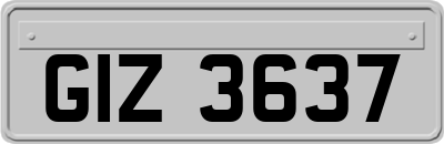 GIZ3637