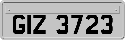 GIZ3723