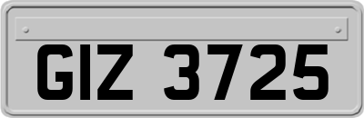 GIZ3725