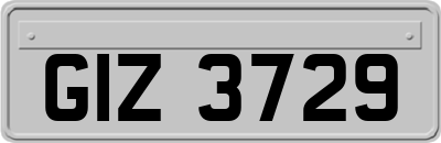 GIZ3729