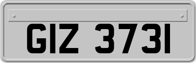 GIZ3731