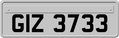 GIZ3733