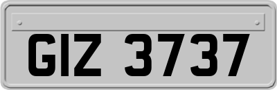 GIZ3737
