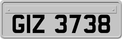 GIZ3738
