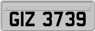 GIZ3739