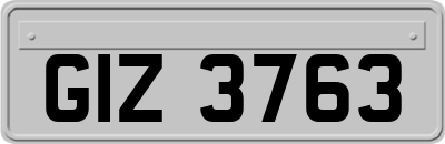 GIZ3763