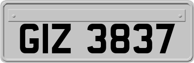 GIZ3837