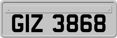GIZ3868