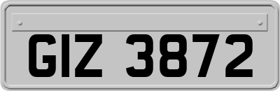 GIZ3872