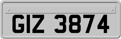 GIZ3874