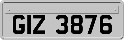 GIZ3876