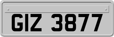 GIZ3877