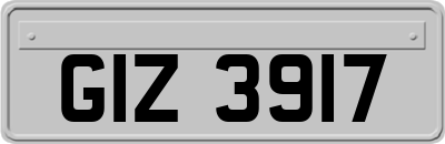 GIZ3917
