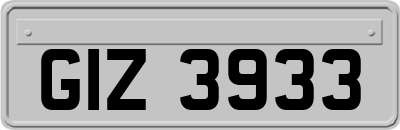 GIZ3933