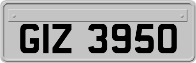GIZ3950