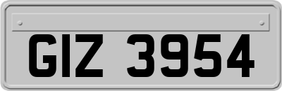 GIZ3954