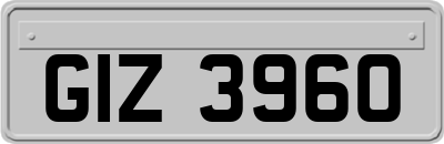GIZ3960