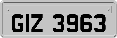 GIZ3963
