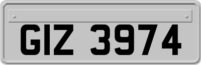 GIZ3974
