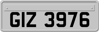 GIZ3976