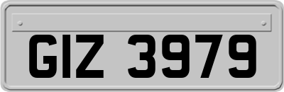 GIZ3979