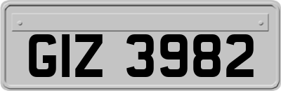 GIZ3982