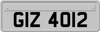 GIZ4012