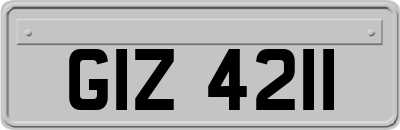 GIZ4211