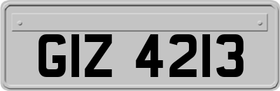 GIZ4213